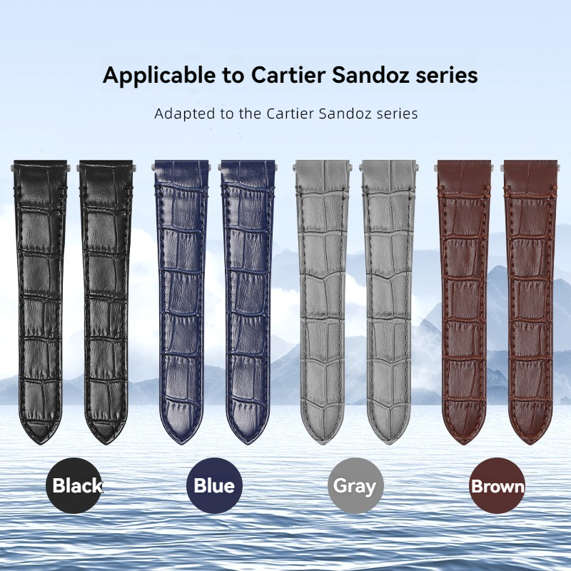 Cartier Santos için Hızlı Bıra - Cartier Watch Tank incelemesi ve fiyatı